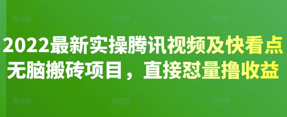 2022最新实操腾讯视频及快看点无脑搬砖项目，直接怼量撸收益-选优云网创