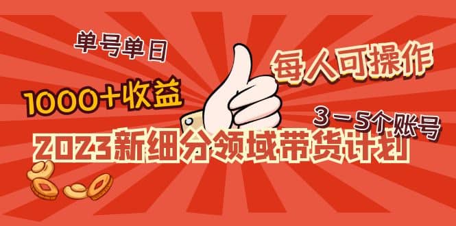 2023新细分领域带货计划：单号单日1000+收益不难，每人可操作3-5个账号-选优云网创