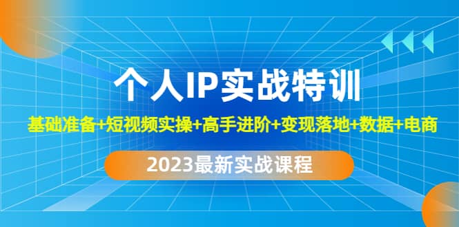 2023个人IP实战特训：基础准备+短视频实操+高手进阶+变现落地+数据+电商-选优云网创