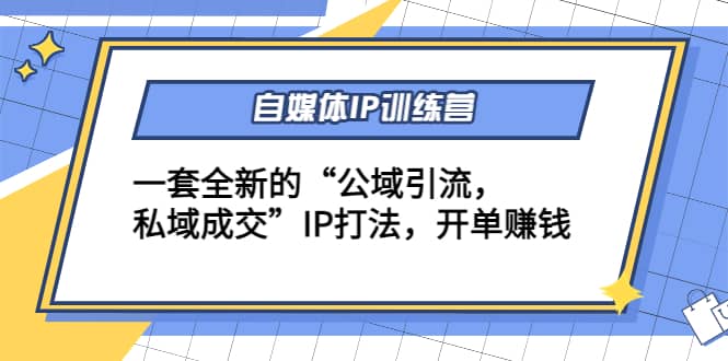 自媒体IP训练营(12+13期)一套全新的“公域引流，私域成交”IP打法-选优云网创