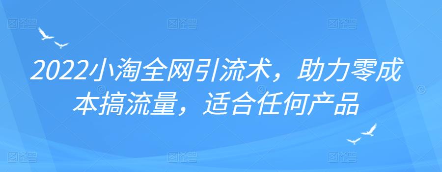 2022年小淘全网引流术，助力零成本搞流量，适合任何产品-选优云网创