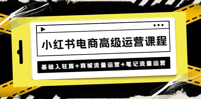 小红书电商高级运营课程：基础入驻篇+商城流量运营+笔记流量运营-选优云网创