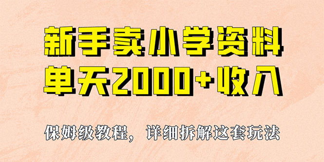 我如何通过卖小学资料，实现单天2000+，实操项目，保姆级教程+资料+工具-选优云网创