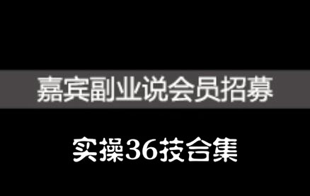 嘉宾副业说实操36技合集，价值1380元-选优云网创