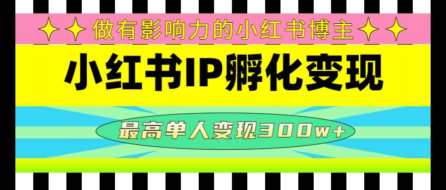 某收费培训-小红书IP孵化变现：做有影响力的小红书博主-选优云网创