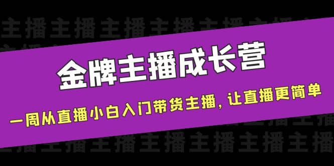 金牌主播成长营，一周从直播小白入门带货主播，让直播更简单-选优云网创