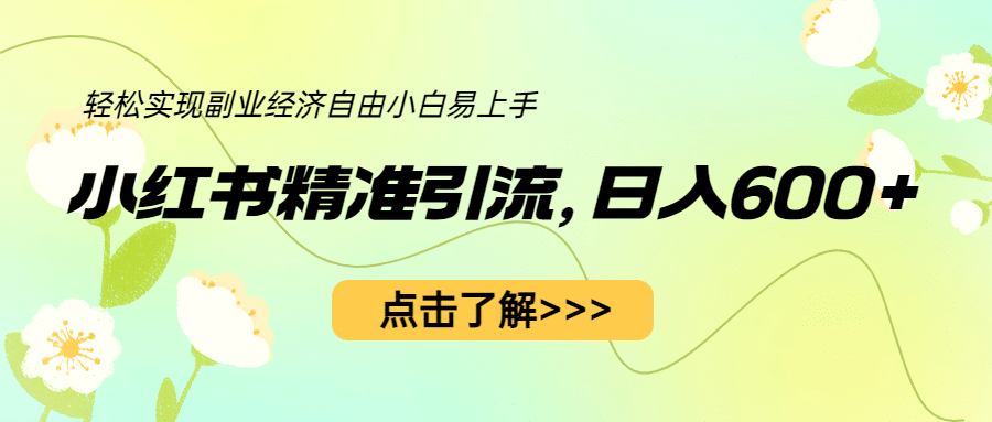 小红书精准引流，小白日入600+，轻松实现副业经济自由（教程+1153G资源）-选优云网创