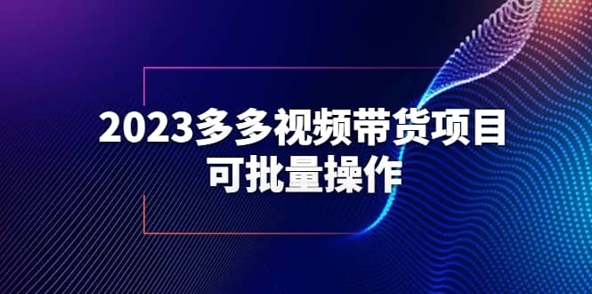 2023多多视频带货项目，可批量操作【保姆级教学】-选优云网创