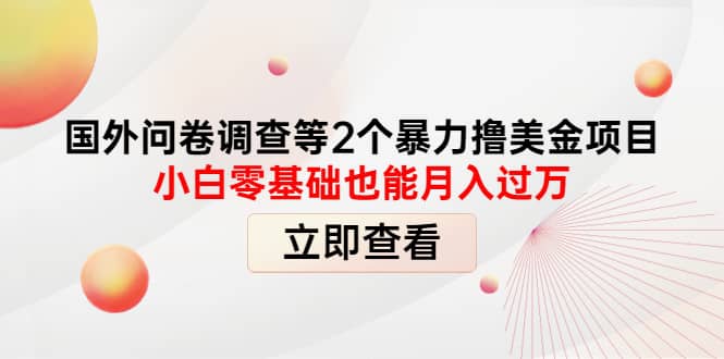 国外问卷调查等2个暴力撸美元项目，小白零基础也能月入过万-选优云网创