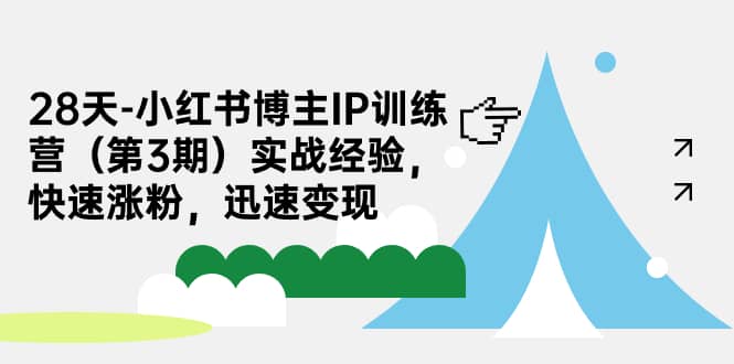 28天-小红书博主IP训练营（第3期）实战经验，快速涨粉，迅速变现-选优云网创