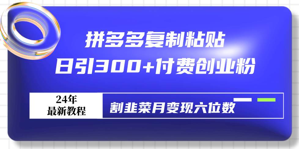 拼多多复制粘贴日引300+付费创业粉，割韭菜月变现六位数最新教程！-选优云网创