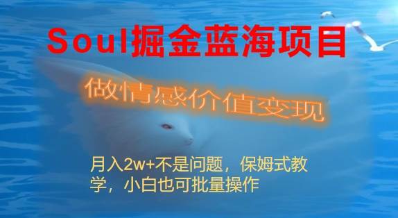 Soul掘金蓝海项目细分赛道，做情感价值变现，月入2w+不是问题-选优云网创