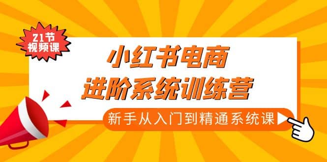 小红书电商进阶系统训练营：新手从入门到精通系统课（21节视频课）-选优云网创