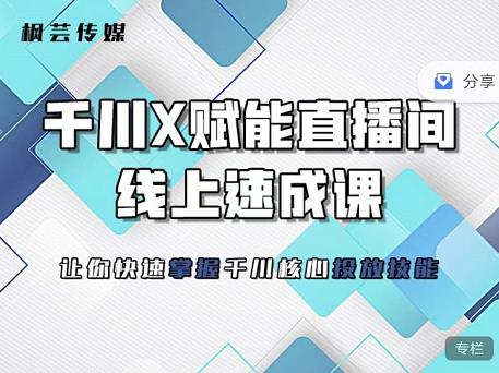 枫芸传媒-线上千川提升课，提升千川认知，提升千川投放效果-选优云网创