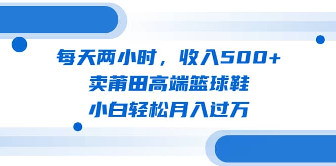 每天两小时，收入500+，卖莆田高端篮球鞋，小白轻松月入过万（教程+素材）-选优云网创