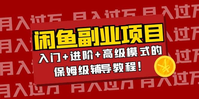 月入过万闲鱼副业项目：入门+进阶+高级模式的保姆级辅导教程-选优云网创