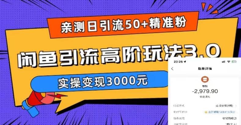 实测日引50+精准粉，闲鱼引流高阶玩法3.0，实操变现3000元-选优云网创