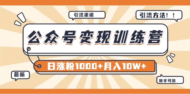 【某公众号变现营第二期】0成本日涨粉1000+让你月赚10W+（8月24号更新）-选优云网创