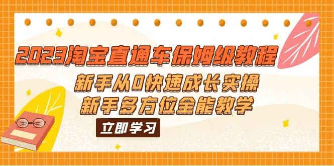 2023淘宝直通车保姆级教程：新手从0快速成长实操，新手多方位全能教学-选优云网创