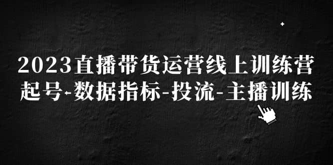 2023直播带货运营线上训练营，起号-数据指标-投流-主播训练-选优云网创