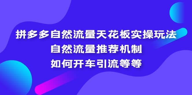 拼多多自然流量天花板实操玩法：自然流量推荐机制，如何开车引流等等-选优云网创