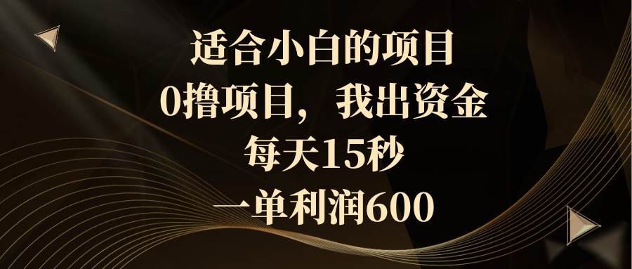 适合小白的项目，0撸项目，我出资金，每天15秒，一单利润600-选优云网创