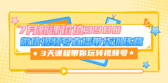 微信视频号直播带货训练营，3天课程带你玩转视频号：7月新课价值3980-选优云网创