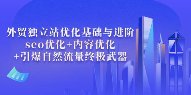 外贸独立站优化基础与进阶，seo优化+内容优化+引爆自然流量终极武器-选优云网创