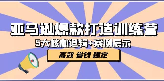 亚马逊爆款打造训练营：5大核心逻辑+案例展示 打造爆款链接 高效 省钱 稳定-选优云网创