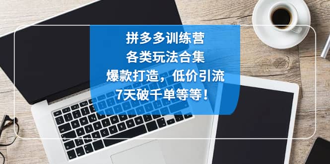 拼多多训练营：各玩法合集，爆款打造，低价引流，7天破千单等等-选优云网创