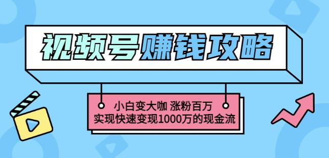 玩转微信视频号赚钱：小白变大咖涨粉百万实现快速变现1000万的现金流-选优云网创