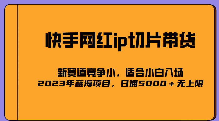 2023爆火的快手网红IP切片，号称日佣5000＋的蓝海项目，二驴的独家授权-选优云网创