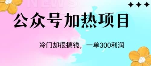 冷门公众号加热项目，一单利润300+-选优云网创