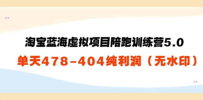 淘宝蓝海虚拟项目陪跑训练营5.0：单天478纯利润（无水印）-选优云网创