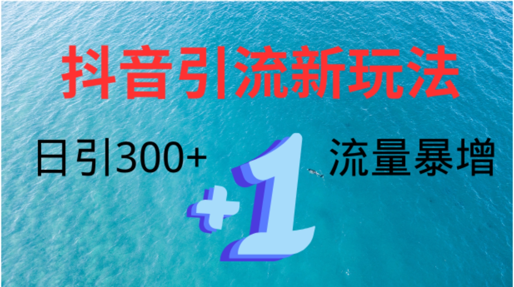 创业粉高效引流，抖音工具号玩法4.0，日引300+-选优云网创