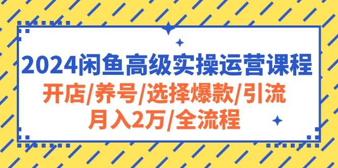 2024闲鱼高级实操运营课程：开店/养号/选择爆款/引流/月入2万/全流程-选优云网创