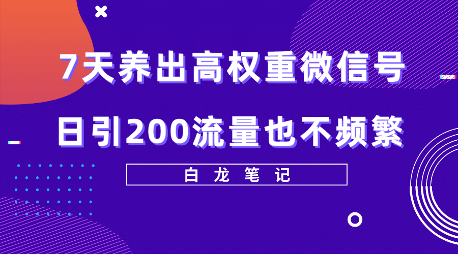 7天养出高权重微信号，日引200流量也不频繁，方法价值3680元-选优云网创