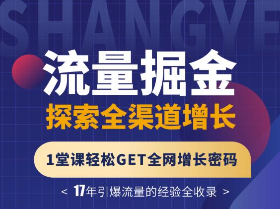 张琦流量掘金探索全渠道增长，1堂课轻松GET全网增长密码-选优云网创