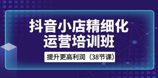 抖音小店-精细化运营培训班，提升更高利润（38节课）-选优云网创