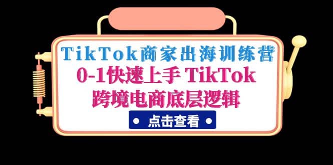 TikTok商家出海训练营：0-1快速上手 TikTok跨境电商底层逻辑(无水印)-选优云网创