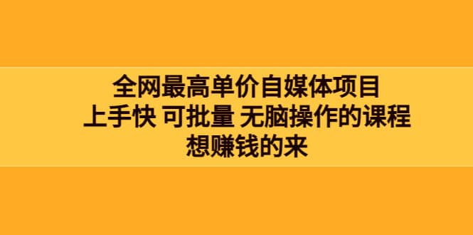 全网最单高价自媒体项目：上手快 可批量 无脑操作的课程，想赚钱的来-选优云网创