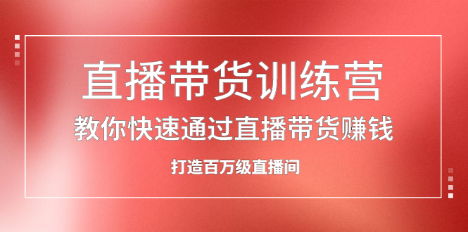 直播带货训练营，教你快速通过直播带货赚钱，打造百万级直播间-选优云网创