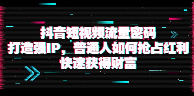 抖音短视频流量密码：打造强IP，普通人如何抢占红利，快速获得财富-选优云网创