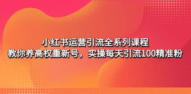 小红书运营引流全系列课程：教你养高权重新号-选优云网创