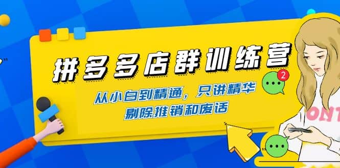 拼多多店群训练营：从小白到精通，只讲精华，剔除推销和废话-选优云网创