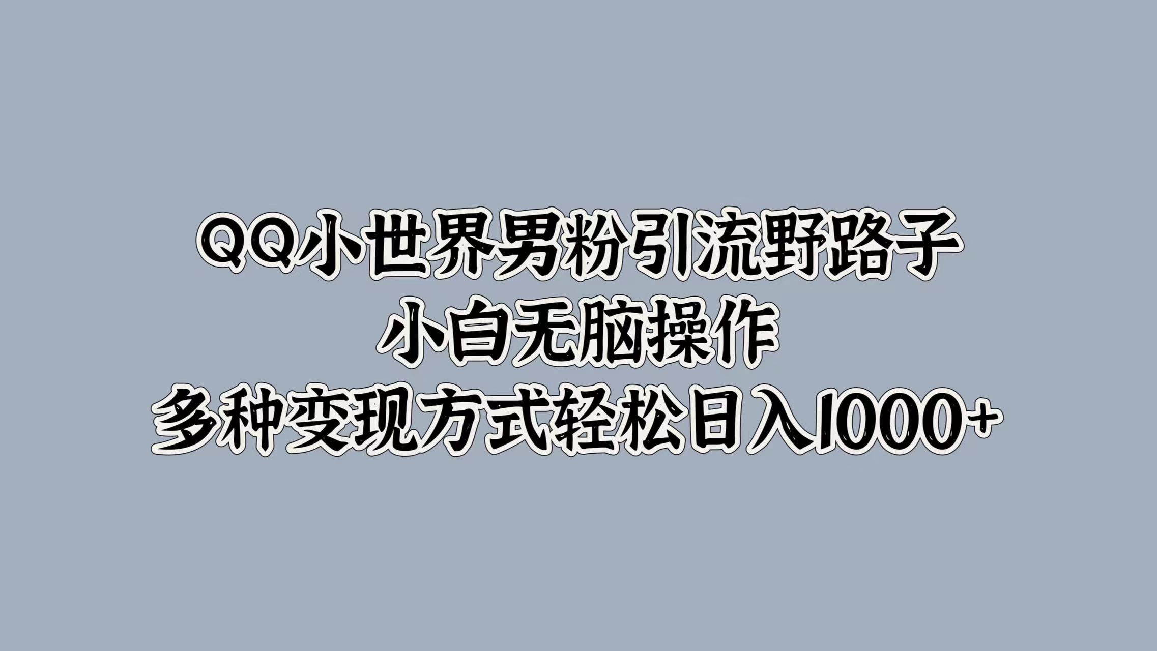 QQ小世界男粉引流野路子，小白无脑操作，多种变现方式轻松日入1000+-选优云网创