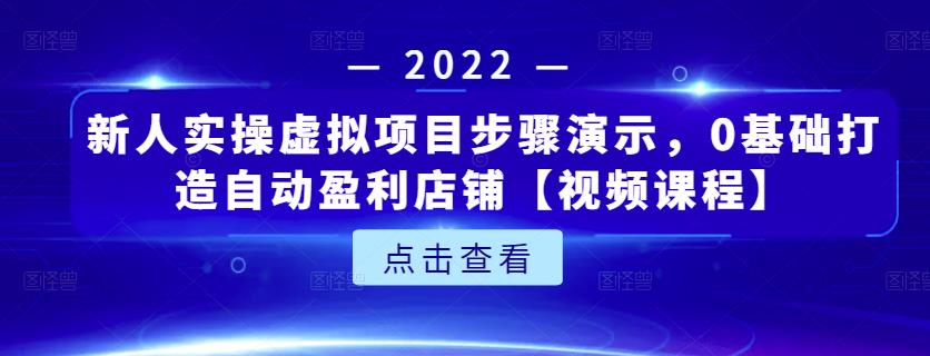 新人实操虚拟项目步骤演示，0基础打造自动盈利店铺【视频课程】-选优云网创