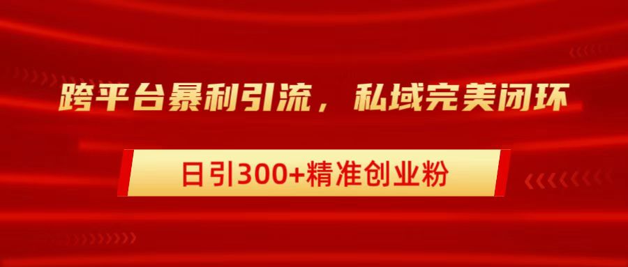 跨平台暴力引流，私域完美闭环，日引300+精准创业粉-选优云网创