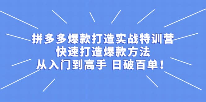 拼多多爆款打造实战特训营：快速打造爆款方法，从入门到高手 日破百单-选优云网创