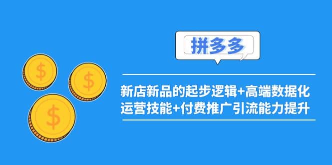 2022拼多多：新店新品的起步逻辑+高端数据化运营技能+付费推广引流能力提升-选优云网创